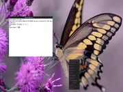Openbox Arch Linux
